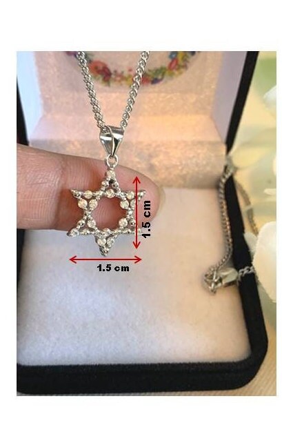 Star Of David Feminine Necklace, Sterling Silver Star of David Medal, Shield of David Medal with CZ stone, Crystallized Jewish Jewelry