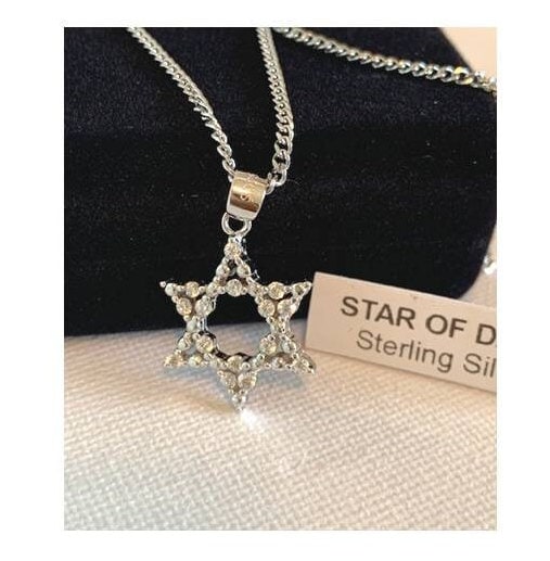 Star Of David Feminine Necklace, Sterling Silver Star of David Medal, Shield of David Medal with CZ stone, Crystallized Jewish Jewelry